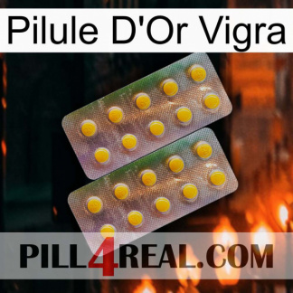 Vigra Gold Pill new10